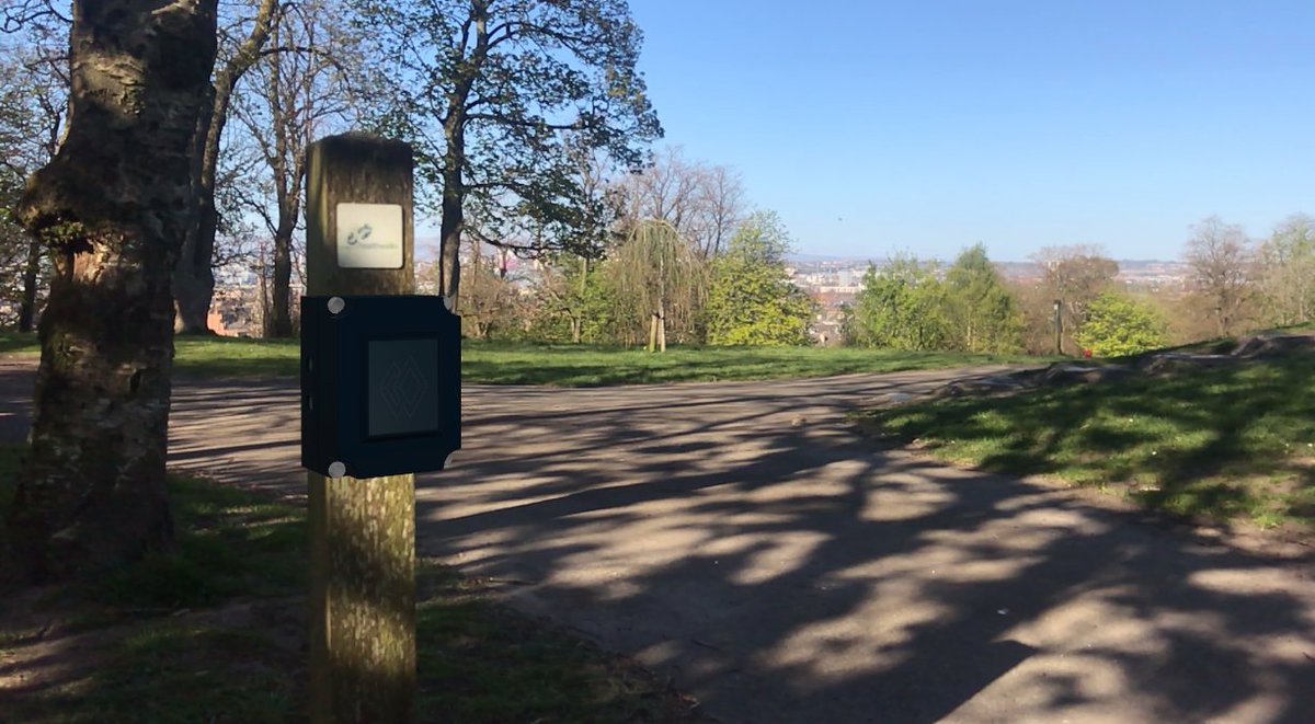 Wilderness Insights tweet media