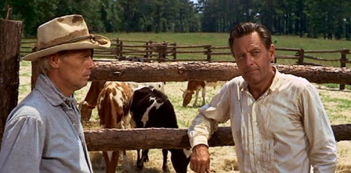 blvcom's tweet photo. Buen dato para el cine western de @telemadrid con la película #AlvarezKelly que reunió a 156.000 espectadores de media y el 8,1% de cuota de pantalla.
Un total de 377.000 madrileños vieron en algún momento el largometraje del año 1966.
#Audiencias 📺📊 https://t.co/1ymwS6YWbE
