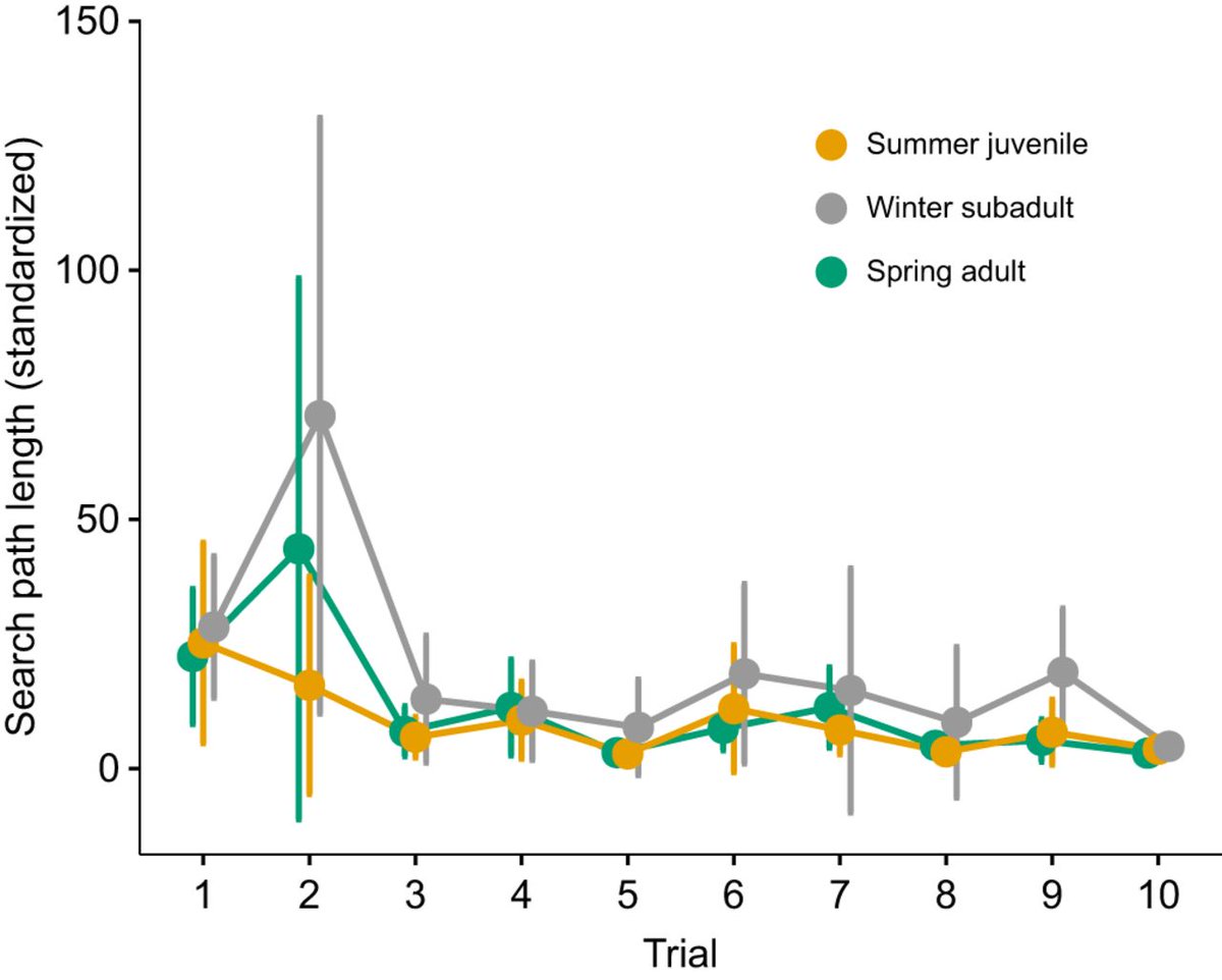 And that this can have behavioral and cognitive outcomes, with smaller-brain winter subadults taking longer to learn a spatial foraging task. https://jeb.biologists.org/content/221/2/jeb166595