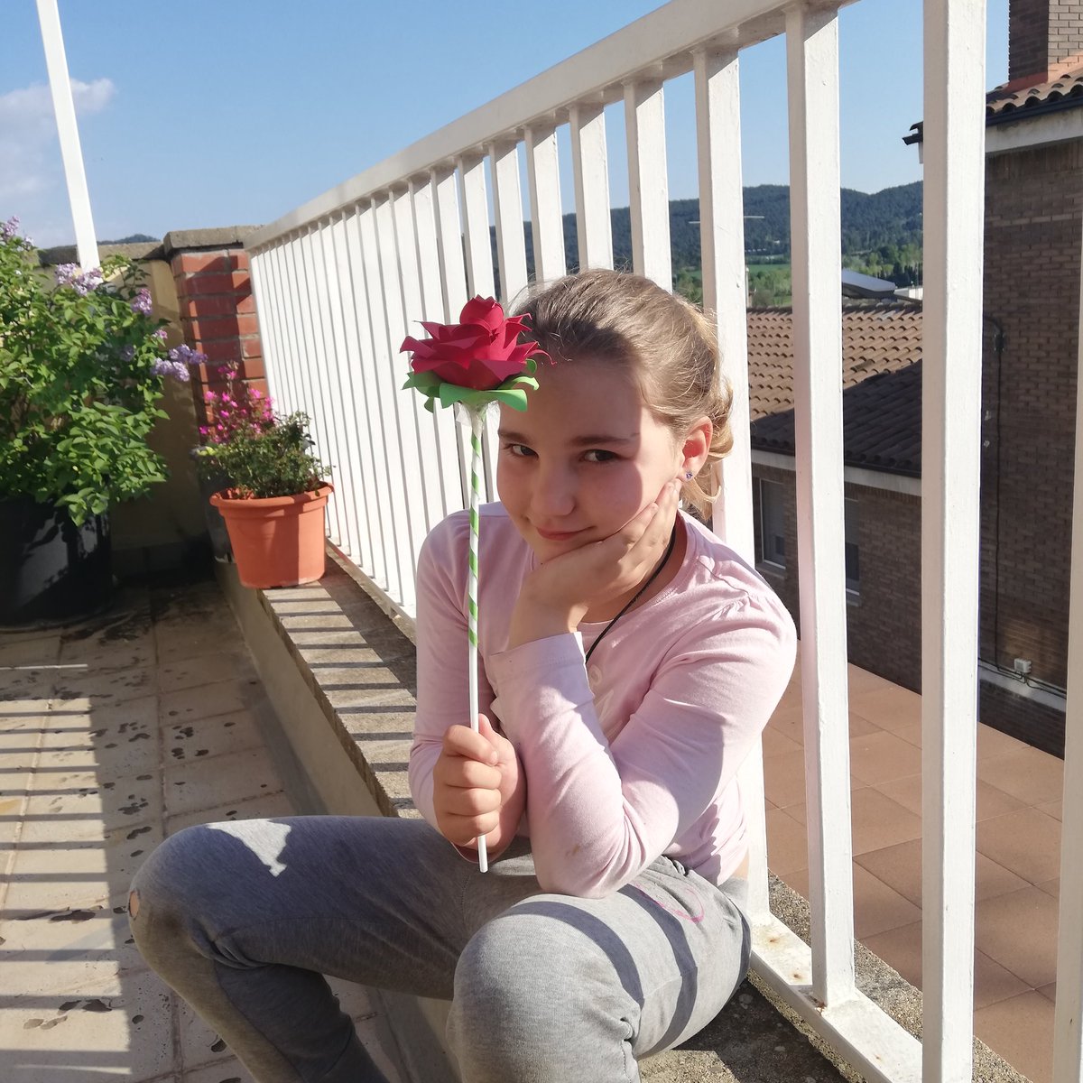 EscolaAteneuIG's tweet photo. Roses per Sant Jordi! 
🌹🌹🐝🐝
#juntsfemescola #usenyorem #lemociódaprendre #escolaateneuigualadi #SantJordi2020 https://t.co/S2ORc2HzGX