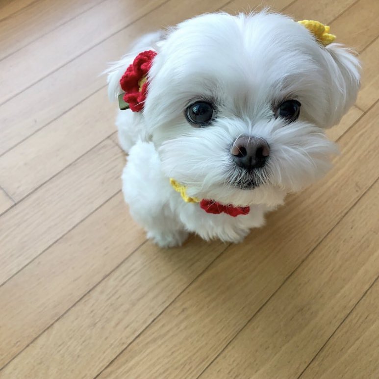 jaerong loves yoghurt just like taeyong 