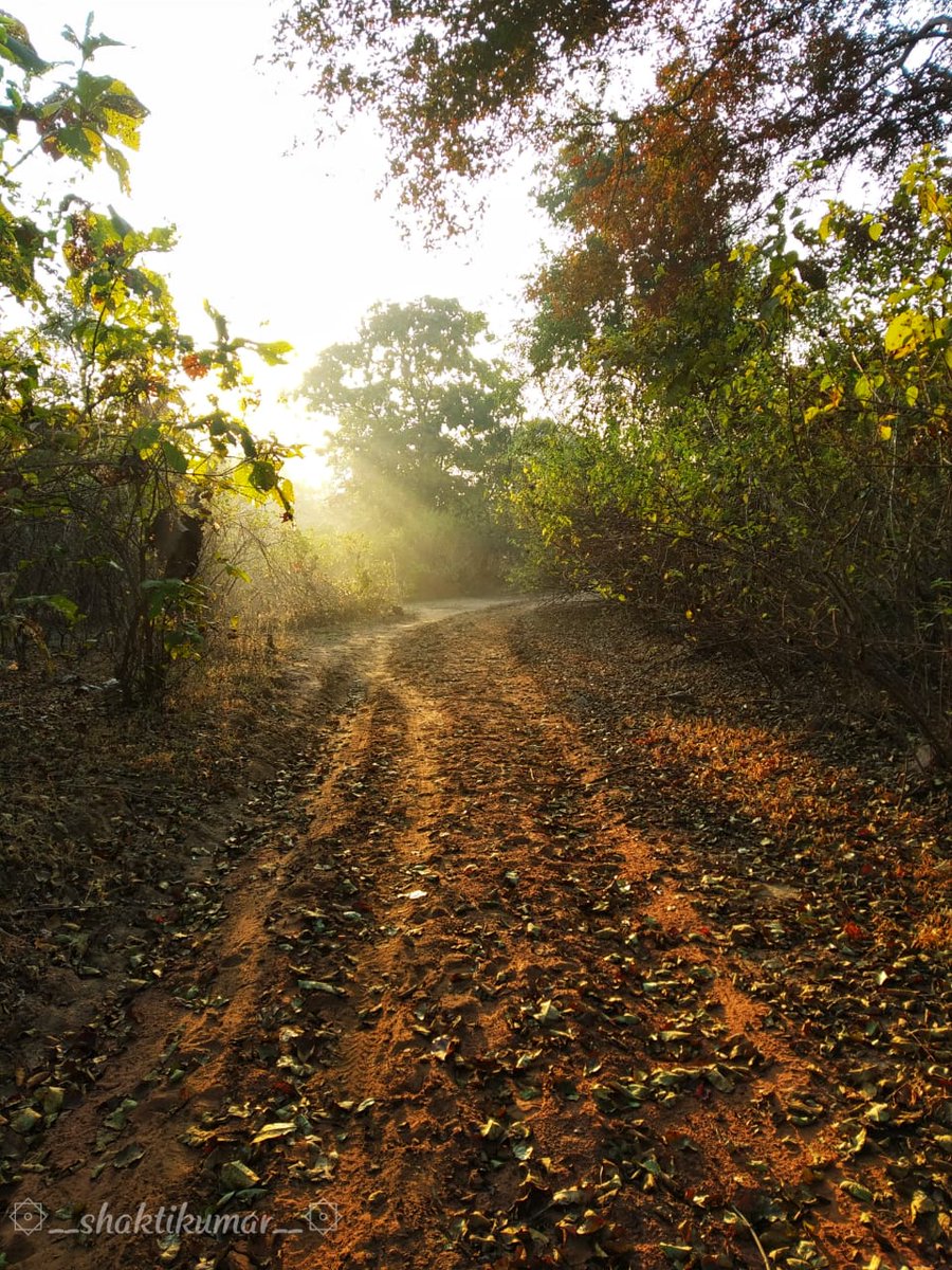 Army4Dev's tweet photo. "An understanding of the natural world and what’s in it is a source of not only a great curiosity but great fulfillment.” —David Attenborough

A selected nature photographs taken by one of our Indian Team members, Shakti Kumar.
Protect the planet
#EarthDay2020 
#EarthDay 
@NatGeo https://t.co/lXsQzwslL9