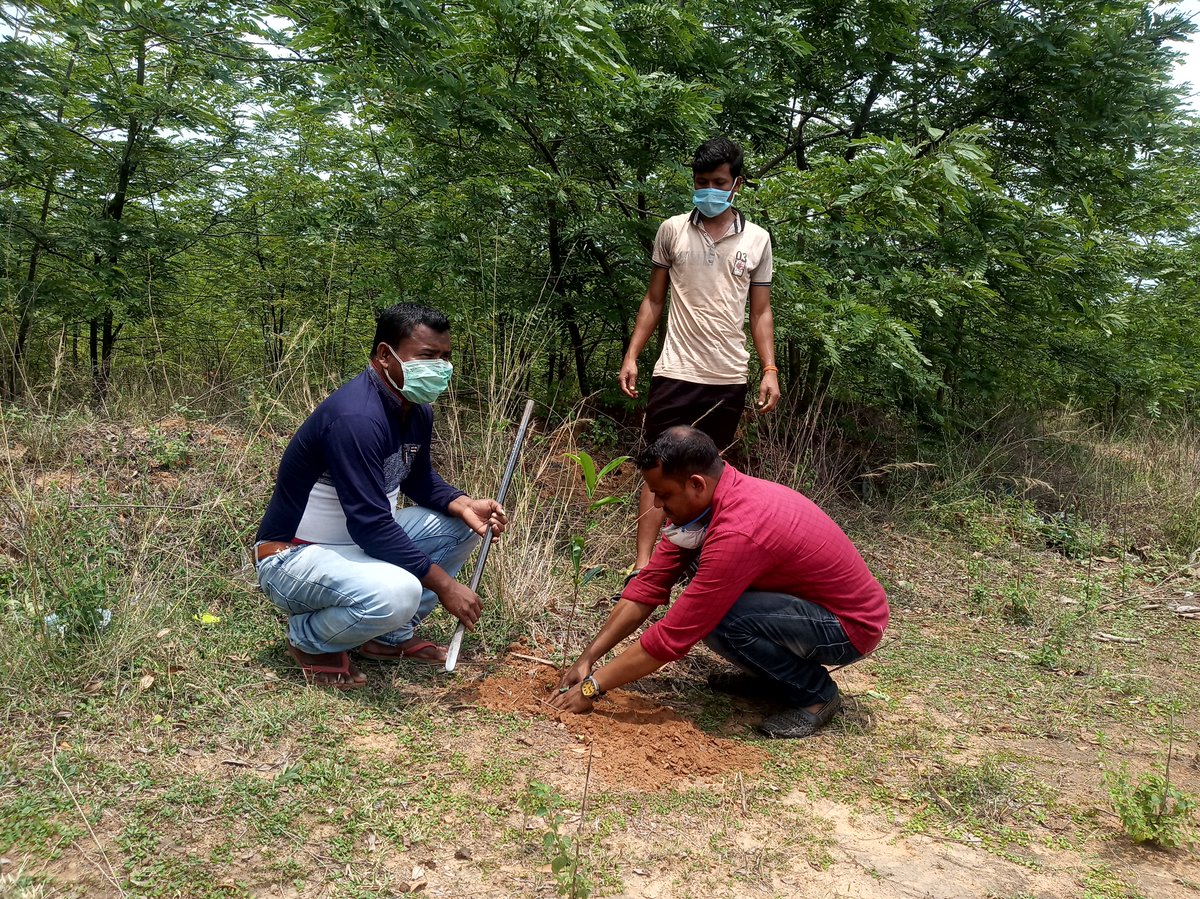 TapanSamal15's tweet photo. @angul_dm, @SP_Angul ,@PMOIndia , @Nyksindia , @dpradhanbjp                                                                        300 Trees plantation "maa Hingula foot ball club", Balaramprasad, Angul. For              " World Earth Day".... https://t.co/PvlMOn5eiZ