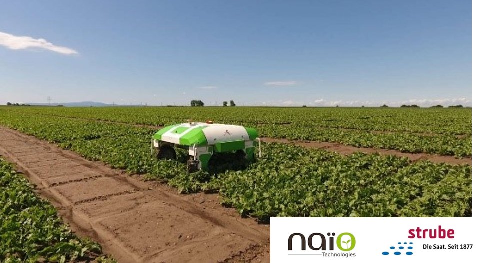 naiotech's tweet photo. 🤝Nouveau partenariat pour Naïo ! Aux côtés de Strube, filiale du groupe @Deleplanquecie et référent européen de la semence, nous mettons notre expertise en robotique agricole au service d'une nouvelle culture, la betterave sucrière! 👉https://t.co/n7u0kJspPj  #agtech #innovation https://t.co/BMxWKcyWzk