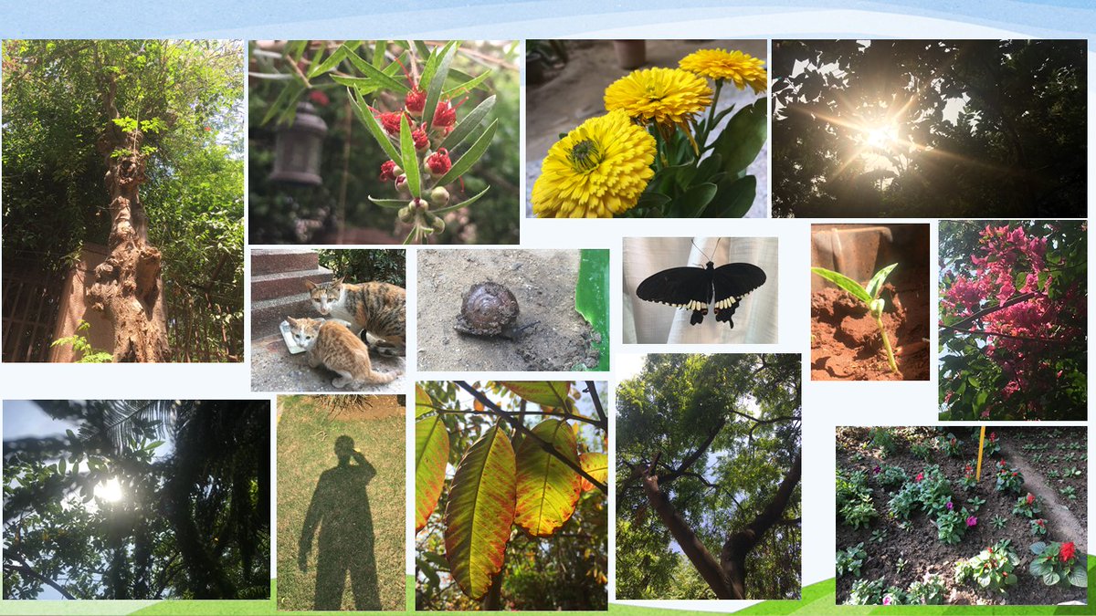anjanasharda's tweet image. Earth Day 2020 from the lens of my little budding photographer at home.
@PrakashJavdekar @VipulGoelBJP #DPSSL #RaghavSirMYNTphotography @DC_Gurugram @mlkhattar