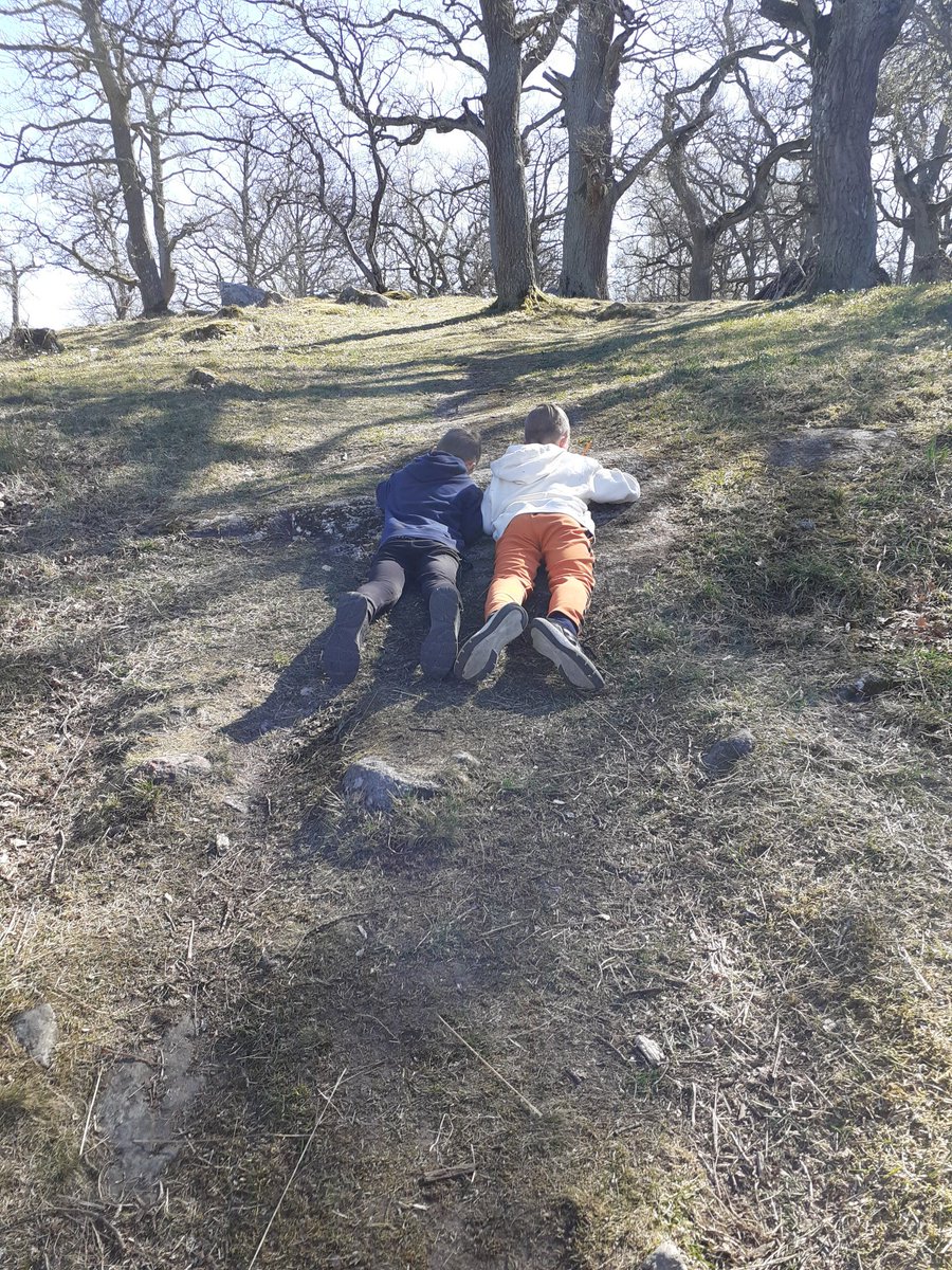 Statistik och livscykler i vitsippebacken 🌞 #runbacka