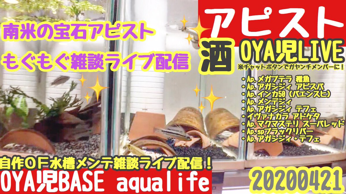 ポケ とる メガプテラ 最高のイラストと図面