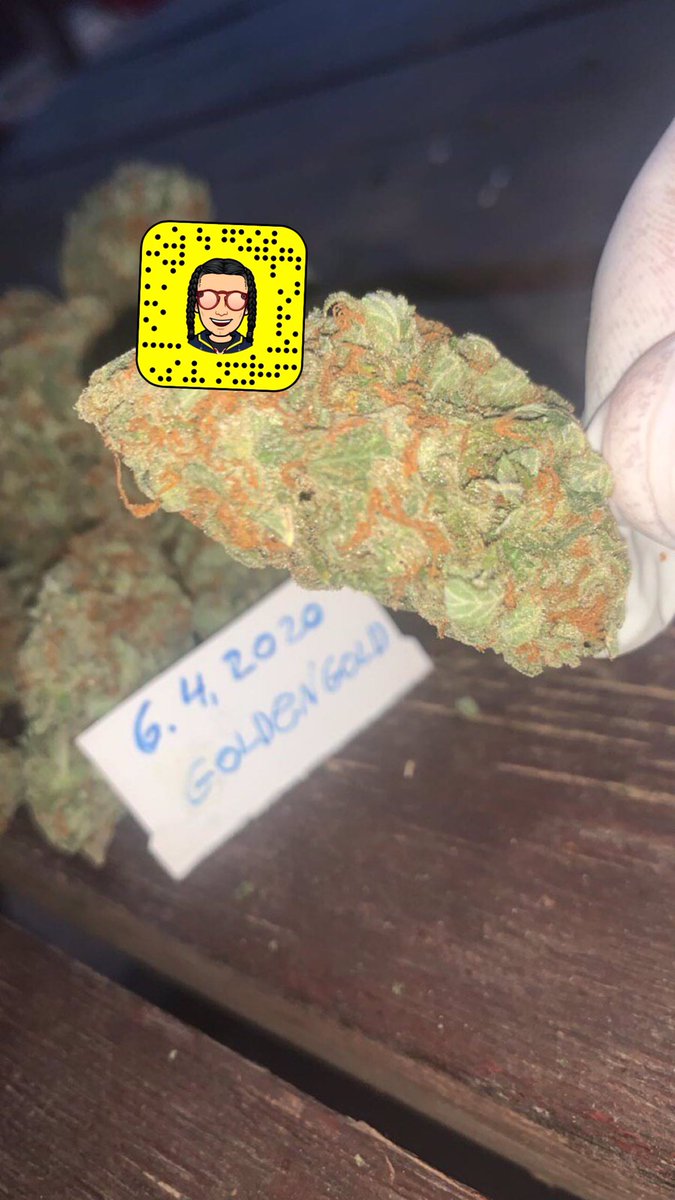 bilplugfrance's tweet photo. Whatsap uniquement //+33 7 56 80 71 61 
Wickr//bilplug  #francecannabis #cannabis #weed #beuh #thc #frenchstoner #fumeur #bedaveur #defonce #bicrave #fufu #joint #blunt #beuz #herbe #instacannabis #puffpuffpass #frannabis #weedfrance #weedstagram #I #mdrr #drole #marrant #humour https://t.co/cZtggNABvG