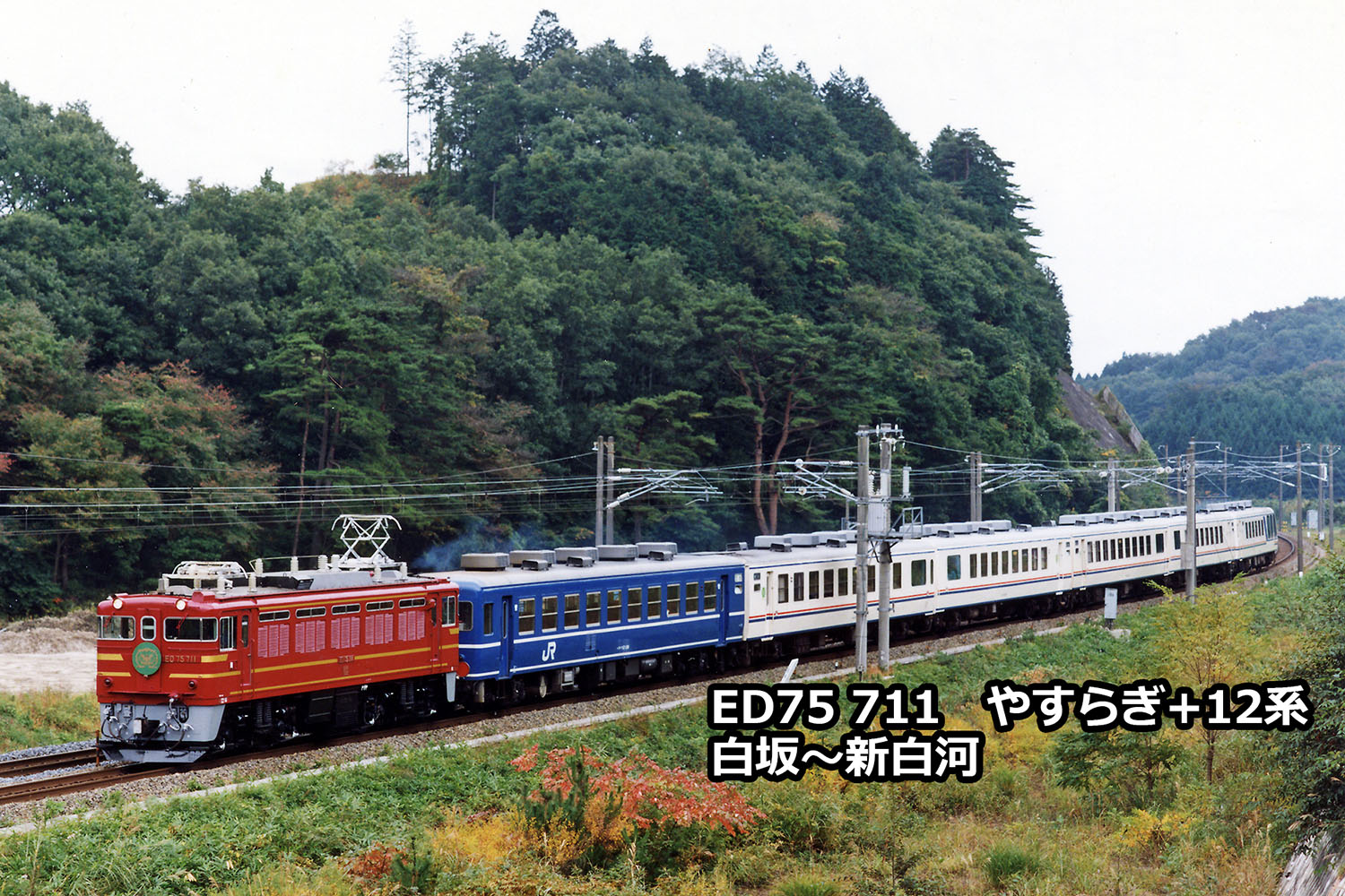 A0192BED75-711 電気機関車 ゆすぶら オリエントサルーン A0192BED75-711 電気機関車 ゆすぶら オリエントサルーン