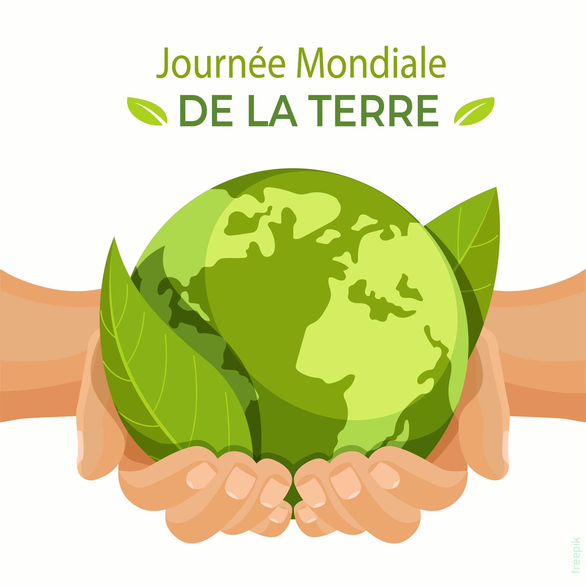 ercogener tweet media