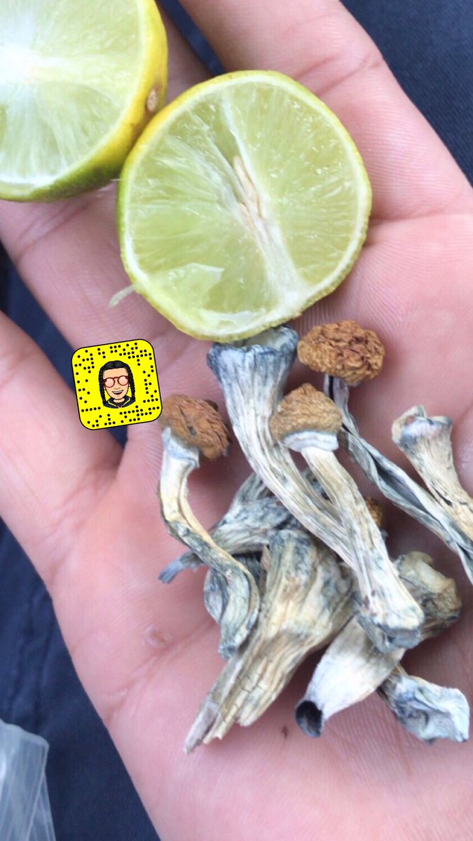 bilplugfrance's tweet photo. Whatsap uniquement //+33 7 56 80 71 61 
Wickr//bilplug #traveltofrance #quatar #hoteldeparis #drogu #livraison #paristourist #weedporn #toparis #amsterdamweed #deliveries #francehotel #airfrance #weekend #ukinpris #weedinparis #belgianinparis #iminparis #visitingparis #jadorepar https://t.co/6CfNK48p8a
