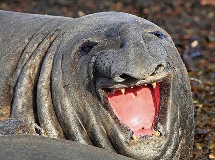 Annem: Yakışıklı oğluşum beniiiim
Ben: