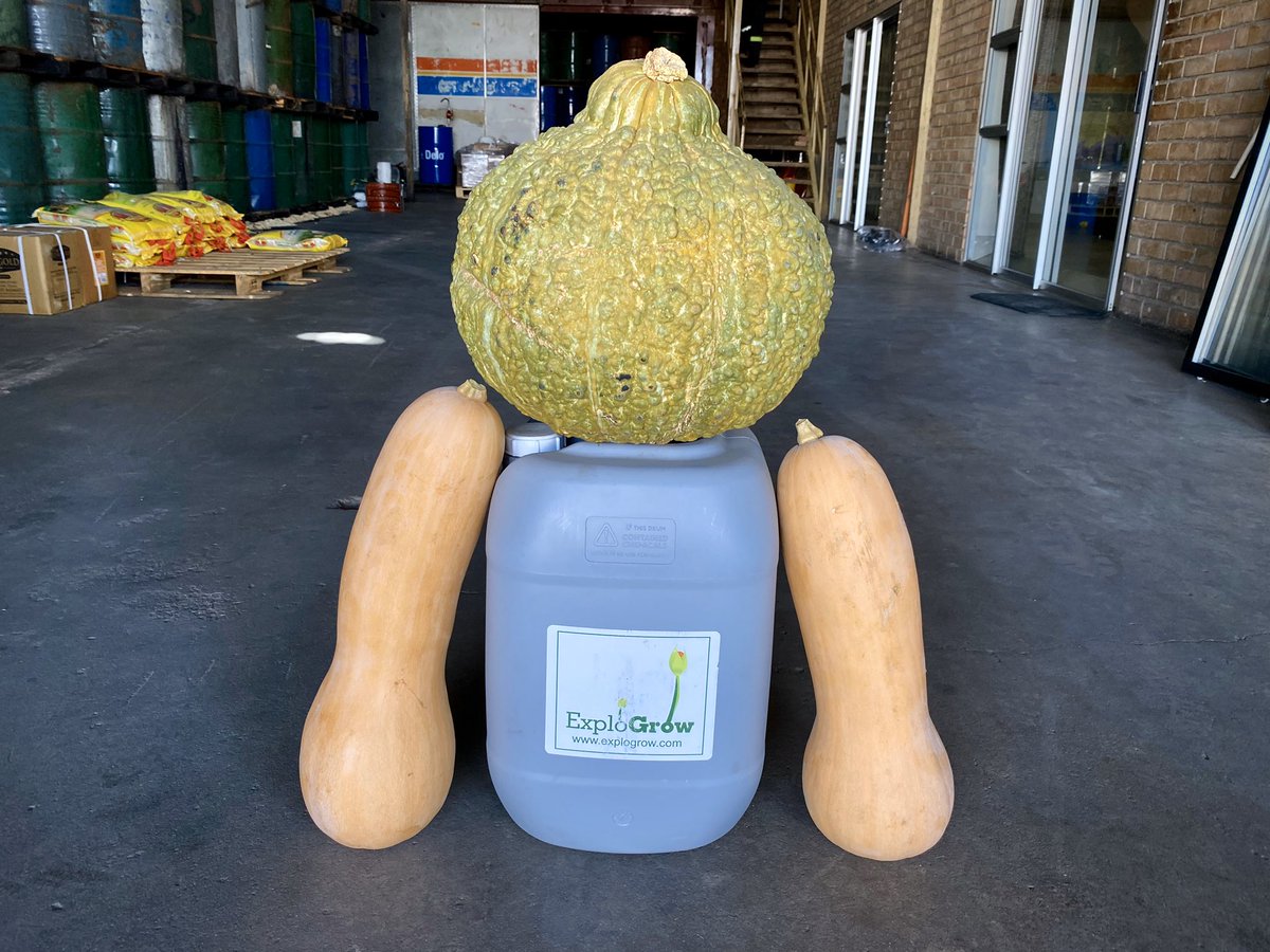 ExploGrow's tweet image. Leading Limpopo farmer urges all farmers and Provincial &amp;amp; Rural governments to treat ALL crops explogrow.com/case-studies/l… #foodsecurity #biofertilizer #sustainableagriculture