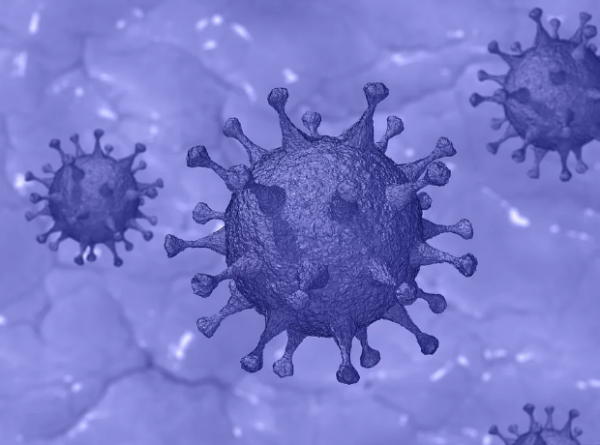 BarringtonJames's tweet photo. Novartis to test hydroxychloroquine for coronavirus 

#LifeatBJ #BarringtonJames #DrugTest #CoronaVirus  https://t.co/8E7pxZelnZ https://t.co/rMcf4clv9U