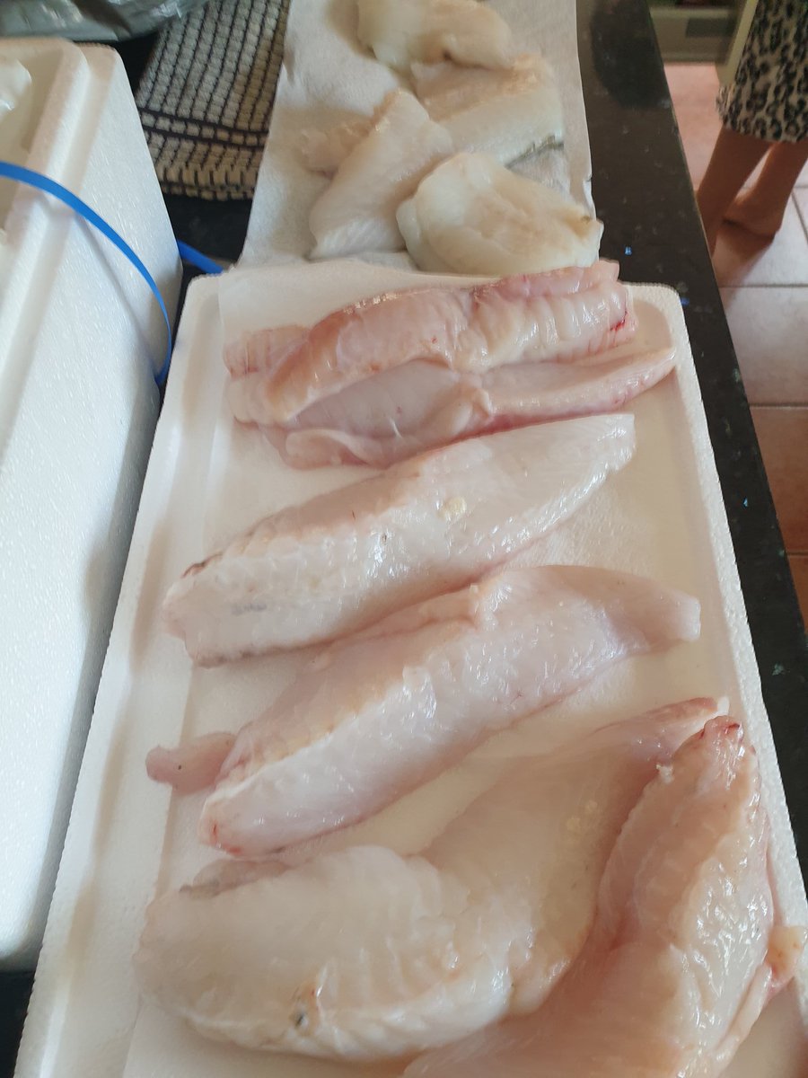 Andybrownie0's tweet photo. Second order arrived from@cornishfish.looks so fresh..great service.bought at newlyn yesterday delivered by 9.15 today...great job....will be back for more..keep it up.. https://t.co/jjlMvCMfts