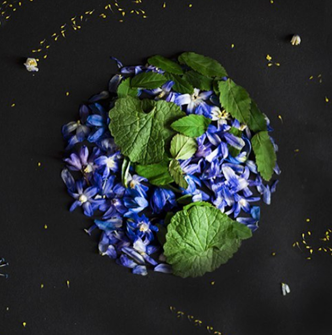 Happy Earth Day! 
#EarthDay2020 #EarthDay #EarthDayAtHome 
instagram.com/p/BTL6nUggfyp/…