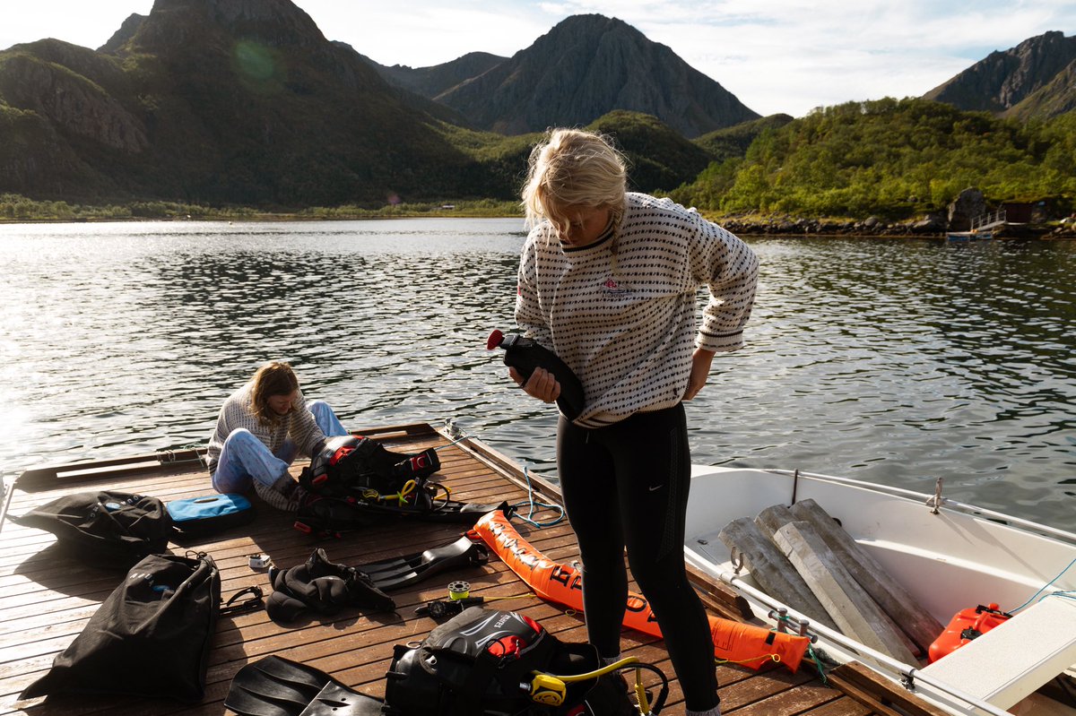 allisonraye3's tweet photo. North of Norway || August 2019 https://t.co/ghTGt2PXbq