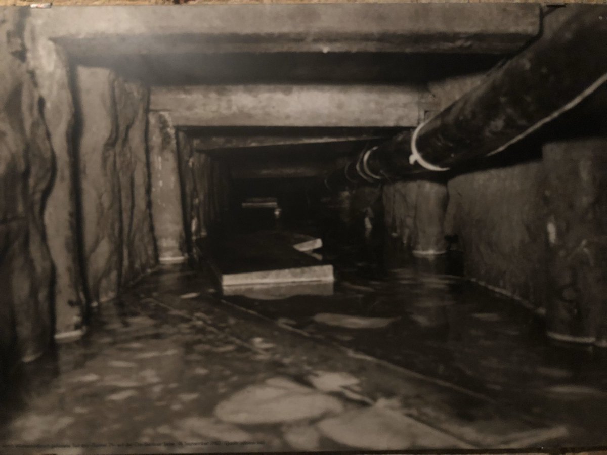 «Туннель 29»: одна из самых захватывающих историй побега времён Холодной войны