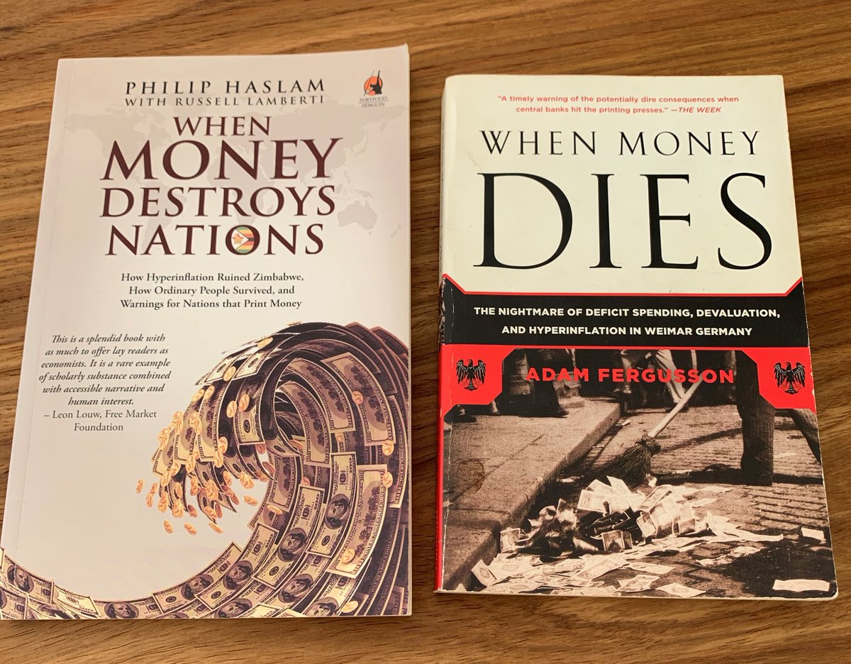 For further reading on hyperinflation living conditions, you can start by reading these two books. The Peter Bernholz book is titled "Monetary regimes and inflation".