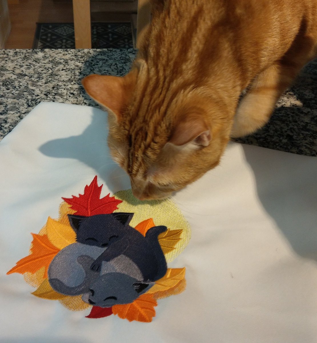 SparkOfDarkness's tweet photo. Und noch ein (später) #lbm20 #ArtistAlley Ersatz 😊
Bei MyLittleNeko gibt es tolle #Kissenhüllen, #Rucksäcke und vieles mehr (#Schals, zum Beispiel) - nicht nur mit #Katzen!
Schaut doch auch mal vorbei:
https://t.co/CBArBFX0aq
Jules-approved💙
#cat #awesome #art
#Stickerei https://t.co/MSoAEtALqE
