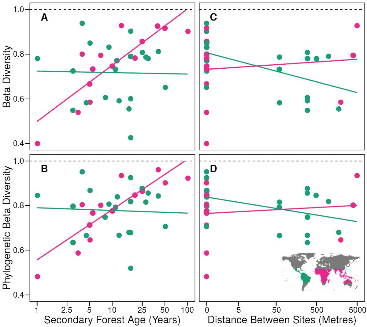 In addition, as the distance between sites increased both species and phylogenetic similarity between primary and sescondary forests was reduced - but only for New World sites, not Old World sites. (4/8)