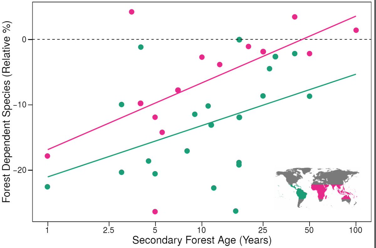 The proportion of forest specialist species in secondary forests increased in both Old and New world sites, reaching equivalence in the Old World after 45 years of regeneration. In New World sites after 50 years there were still ~8% fewer forest specialists. (6/8)