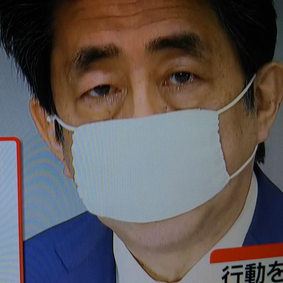 megane10percent's tweet photo. 小さいね https://t.co/ZnvSEMO1Yq