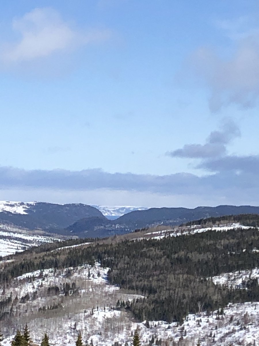 dedo69ca's tweet photo. Baie Verte / Sheffield and Birchy Lake area ... #NLSpring @a_brauweiler @KrissyHolmes @nilkoksalcbc @RobinMeade @EddieSheerr Practicing social distancing for work https://t.co/EkvVQOR9OR