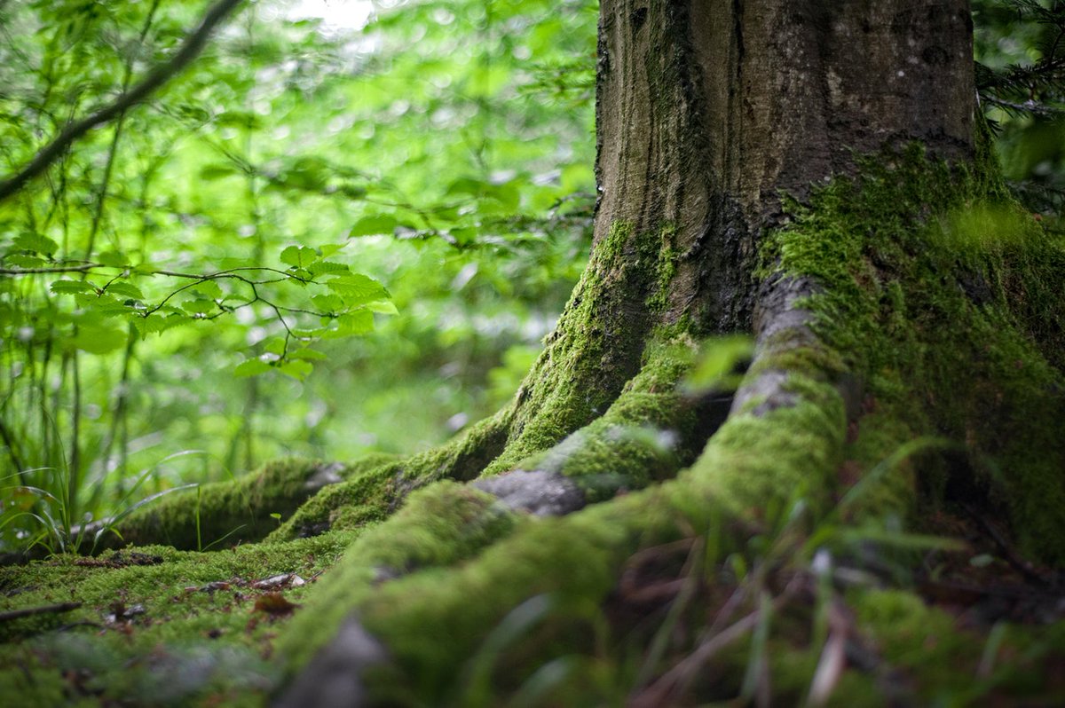 ClimateKIC's tweet photo. Happy #EarthDay! Decarbonising our land, finance, industry and city systems is a hugely ambitious project that requires a variety of different perspectives and skillsets. Today, we might ourselves: What can I do to contribute to a sustainable future? https://t.co/jlmcqXWnBX
