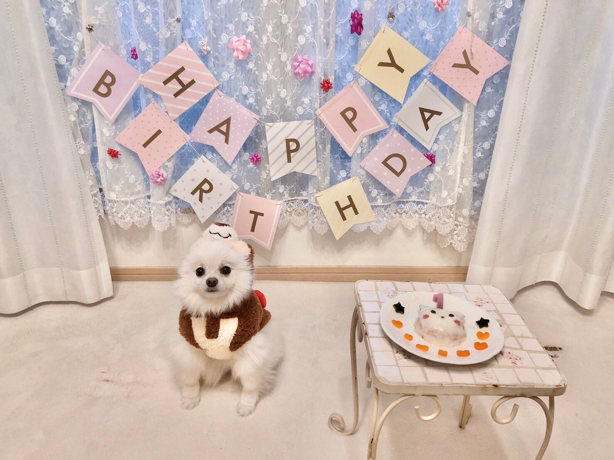 _ayaoka_'s tweet photo. 犬ってお尻匂ってコミュニケーション取るやん。
ラテは他の犬苦手やから
お尻匂われそうになったら走って逃げて座るw
めっちゃ可愛い。賢い。笑 https://t.co/CVzsNmOLce