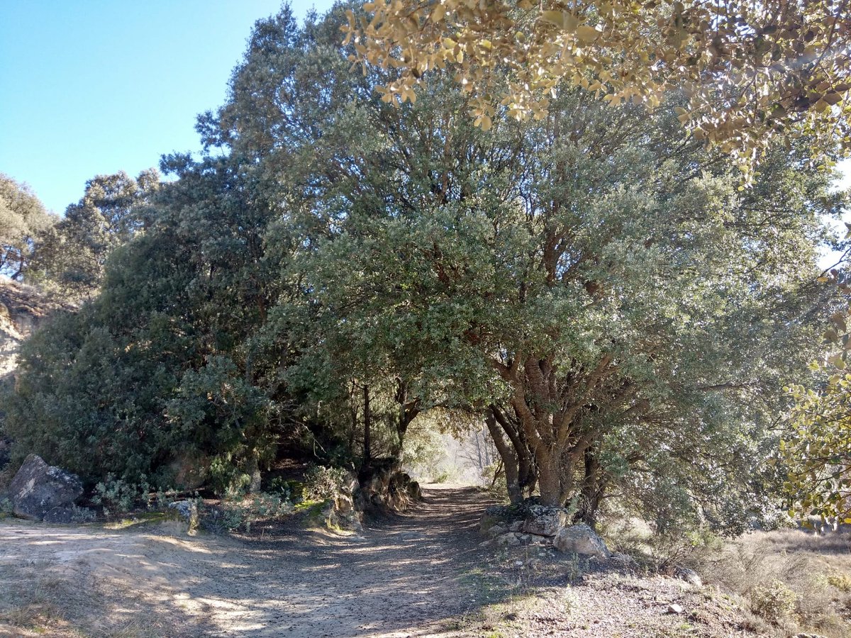 #DiaDeLaTierra🌎
<a href="/Pontifex_es/">Papa León XIV</a> "La #CasaComún no es un depósito de recursos para ser explotados" 
#CuidaPlanetaCombatePobreza
vaticannews.va/es/papa/news/2…