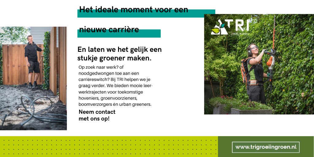 Op zoek naar een nieuwe uitdaging? Maak er een groene van! Ook in deze tijd helpen we je graag verder met een carrière in het groen! 

#vacature #hovenier #groenvoorziener #boomverzorger #urbangreen #groen #lerendwerken #BBL #BOL #MBO #TRI #groeiingroen