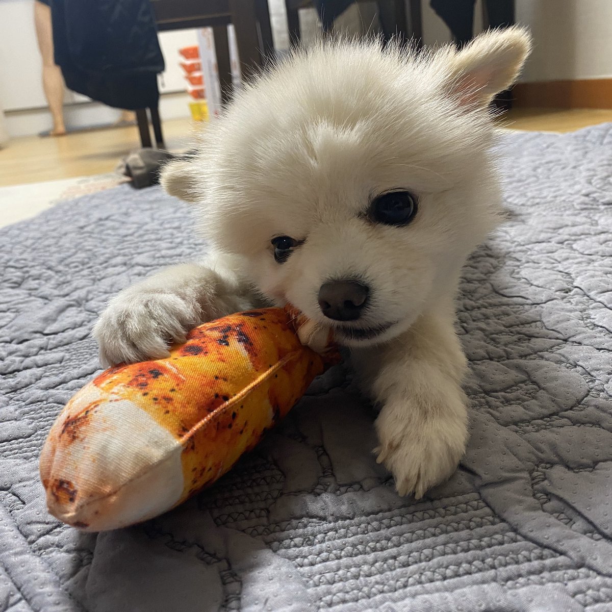 bean_archive's tweet photo. https://t.co/paoR46s3va