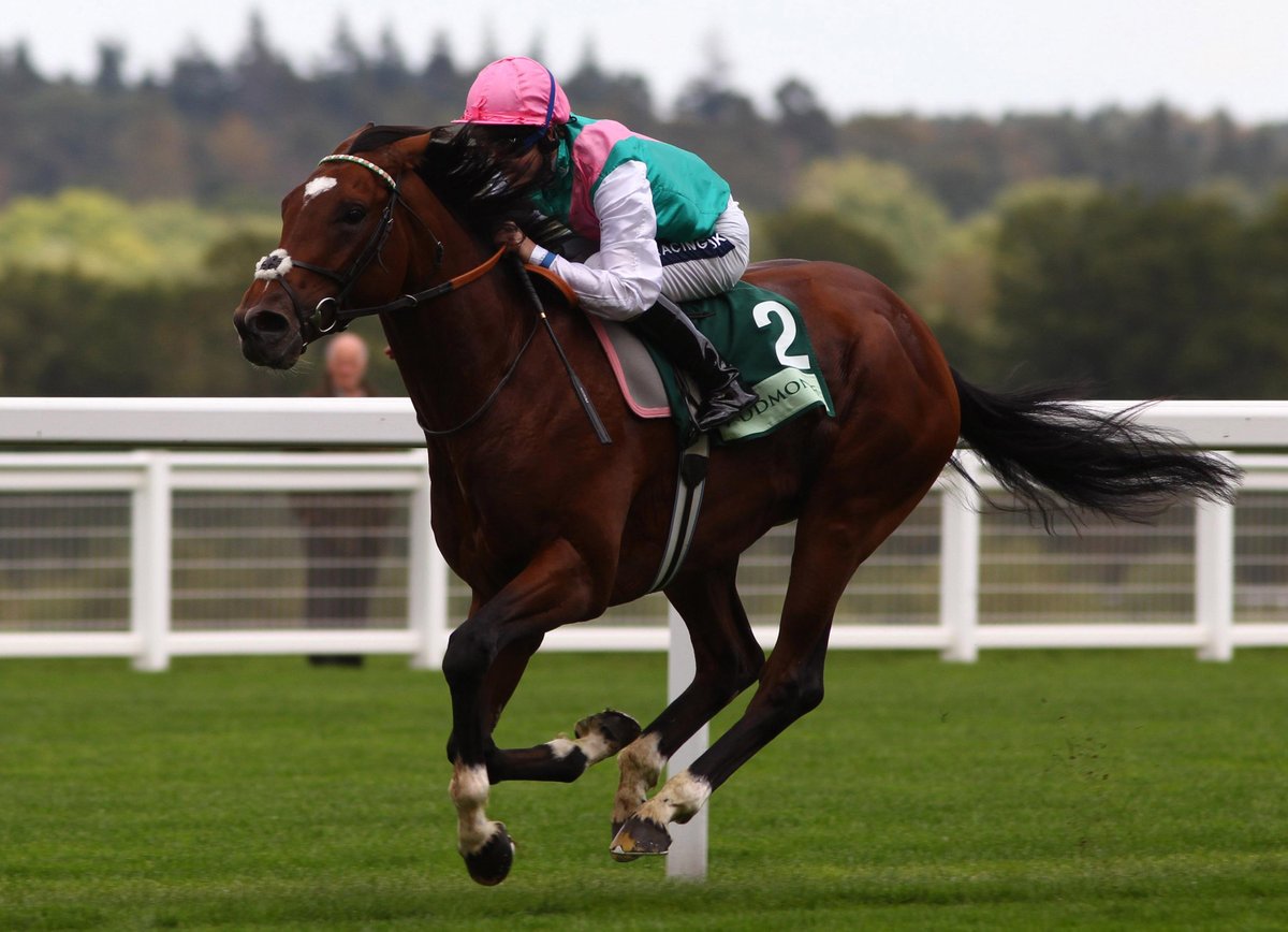 frankel