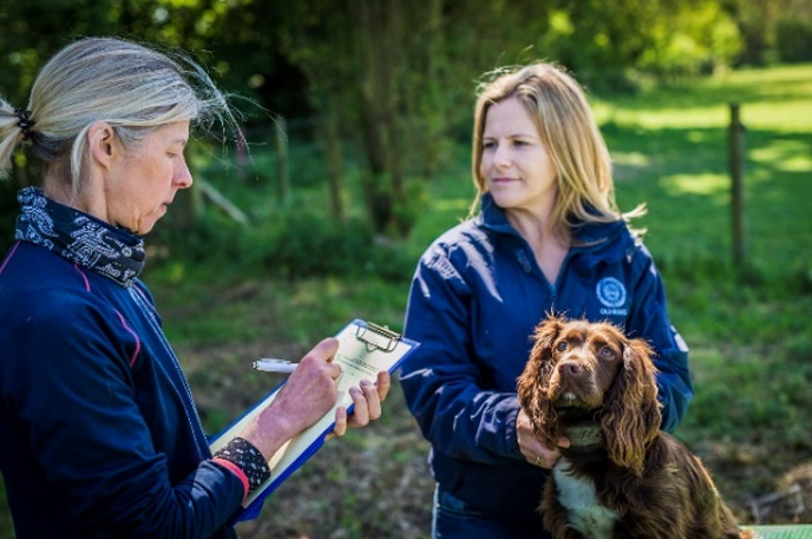 Equestrian Influence tweet media