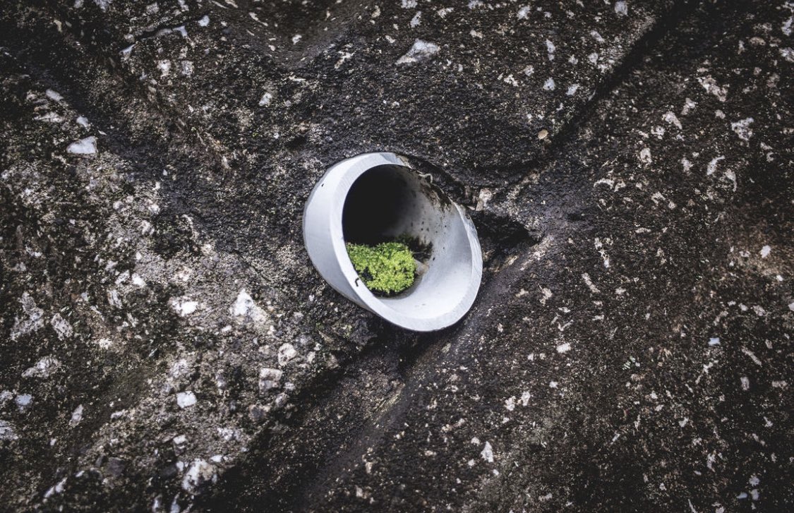 Koukichi_T's tweet photo. For #EarthDay on @EyeEm
▶︎ https://t.co/UNIMrIXPJw
▶︎ https://t.co/wyDyQdfBxB
▶︎ https://t.co/CgjCqXTYlW
▶︎ https://t.co/aAoqSjEFlA
#ktpics #EarthDay2020 #ExceptionalNormalcy #abstract #EyeEm https://t.co/d0robSyp4q