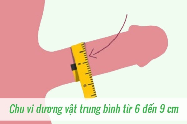 suc_ly's tweet photo. Kích thước dương vật trung bình của đàn ông ��� mỗi quốc gia năm 2020 
==> https://t.co/MFQCVnsdP5
Tác dụng: Kéo dài "cậu nhỏ" lên đến 15cm
https://t.co/ghZYoLqNl5
Tư vấn: 0968.60.66.11
#tangkichthuocduongvat
#kichthuocduongvat https://t.co/qqYPwMAFkX