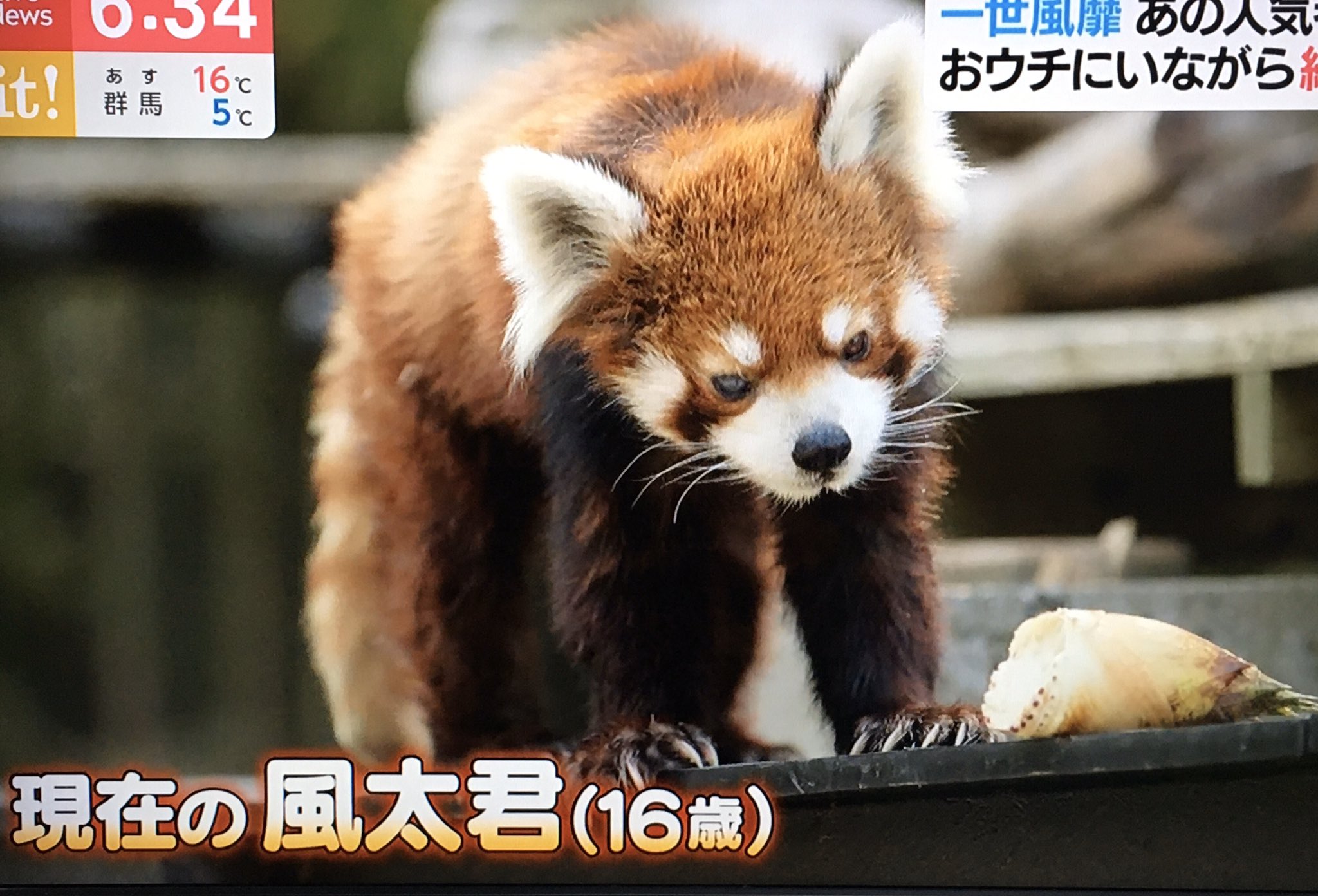emi.hirano on X: 