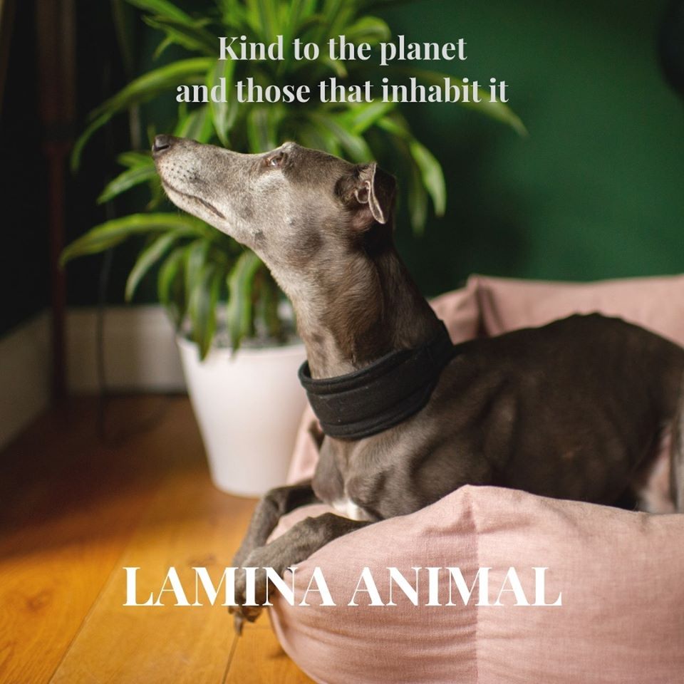 Have you got a four-legged friend who could celebrate  #EarthDay2020   too? @laminaanimals make planet friendly, plastic free, vegan treats and accessories for your fluffy friends! #EarthDay    #Earthday50  #EarthDayAtHome  #EthicalHour