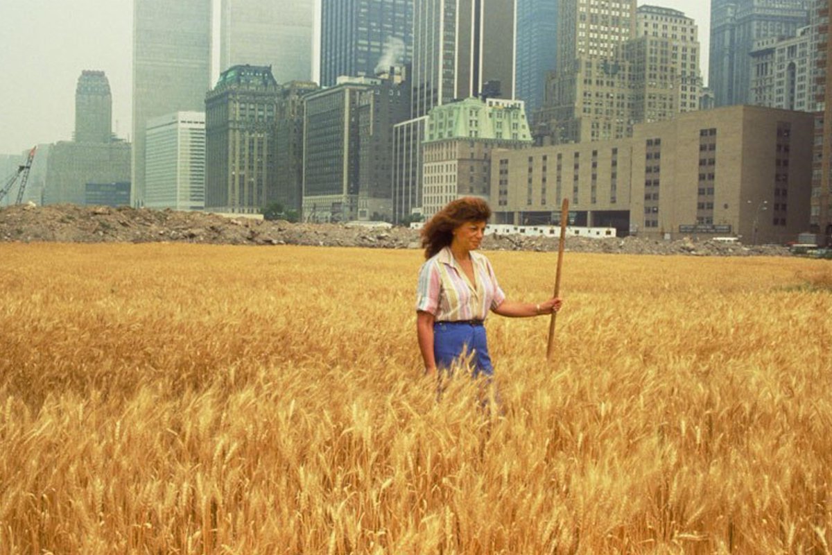 30. Today, for Earth Day, a masterpiece of environmental art. In May 1982 Agnes Denes planted a two-acre wheat field in lower Manhattan, harvesting it four months later. This piece seems more relevant than ever, as nature re-conquers our deserted cities.