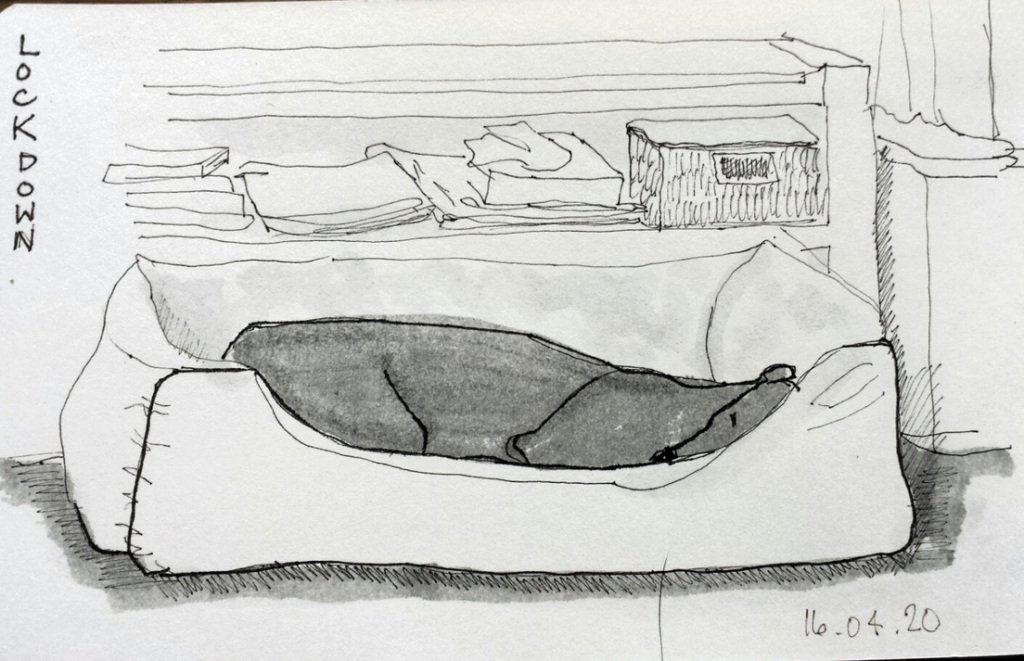 What do you see? chrisrose.me/2020/04/22/wha…