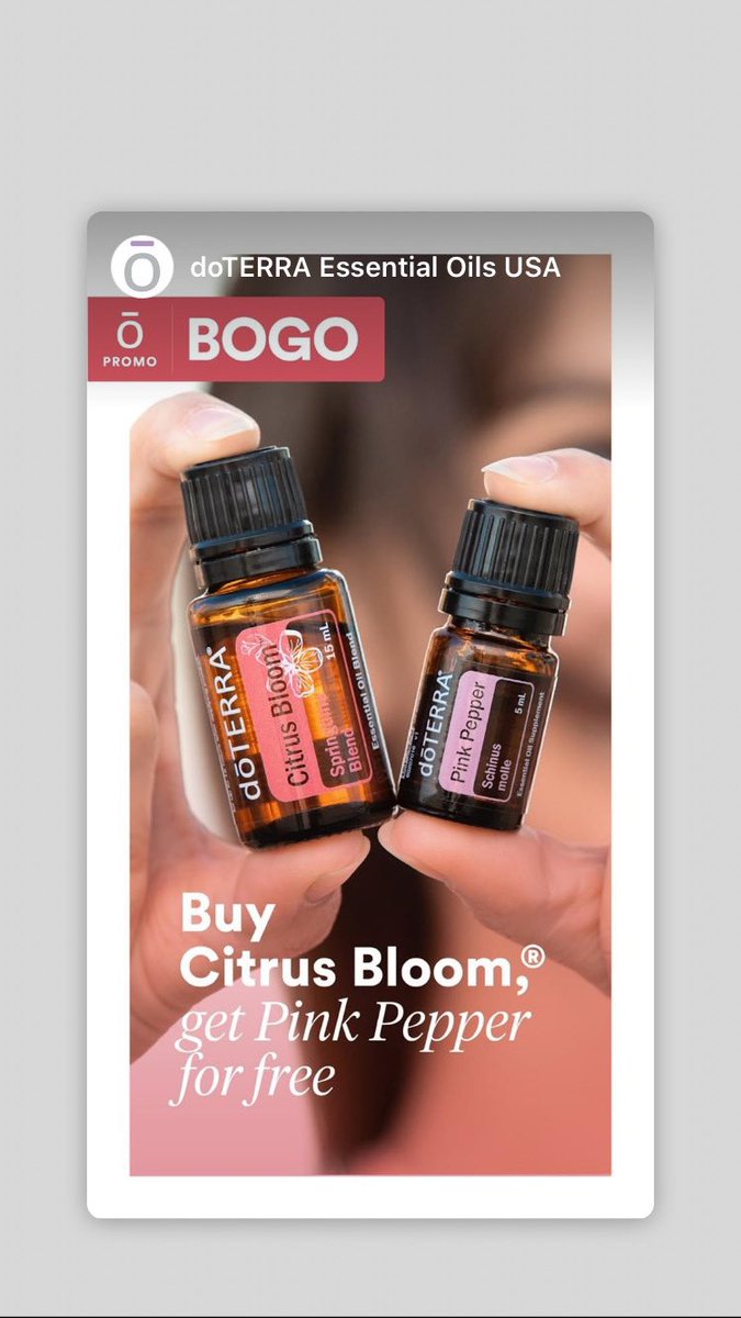 AfricanGarden5's tweet photo. Wednesday April 22nd Bogo >>
🛒 link https://t.co/jSFfjNYcgy https://t.co/RICv2wnadk