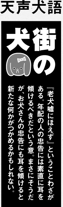 czcz_official's tweet photo. 【カコカジ】
2011年6月号 「街の犬」
#カコカジ #おうち時間 https://t.co/JbrF1UdgVb