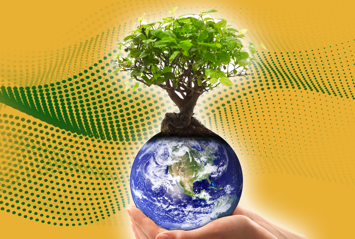 pictaprintphoto's tweet photo. Hoy celebramos el #DiaMundialdelaTierra plantando en el jardín de la oficina unas cuantas plantas aromáticas para dar un poquito de alegría.
Y tú ¿qué vas ha hacer por la Tierra?

Enjoy &amp; #Print con #pictaprintphoto
#DevelopmentMedia #Marketing #eventoscorporativos #imprimirfotos https://t.co/ZNe9hnxQHG