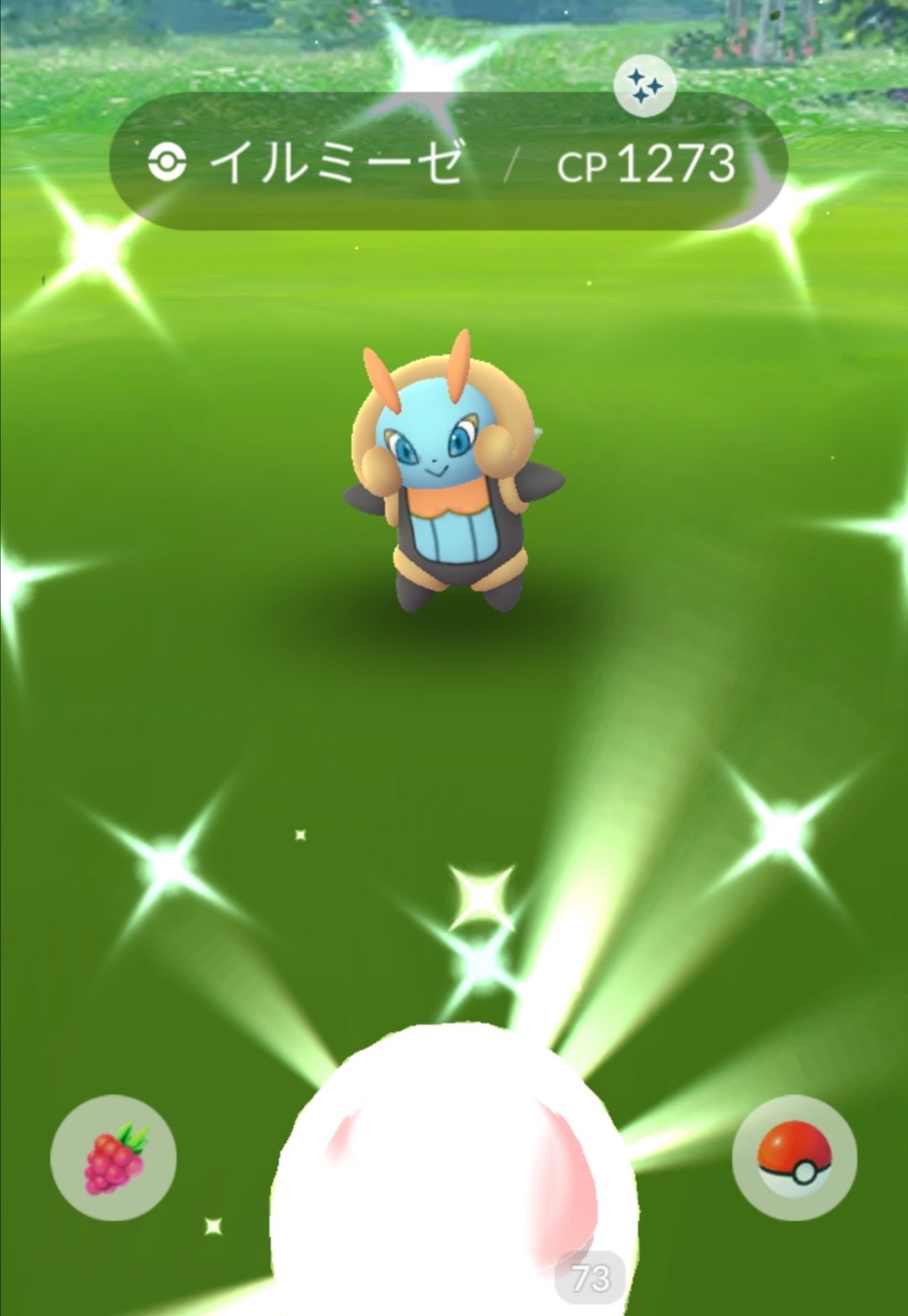 Mama Koko 今日のポケモンgo イルミーゼちゃんの色違い初getしました٩ E ۶ かわいい 他にもヒンバス色違い ヨーテリー色違いもget 次はバルビート色違い欲しいです T Co Kyufvc14tl Twitter