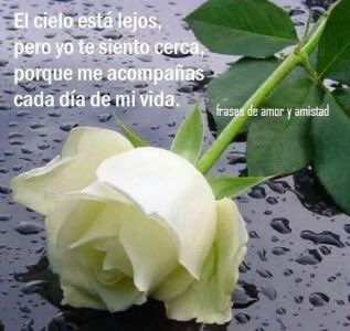 La Incondicional ❣️ on Twitter: La Incondicional ❣️ on Twitter: