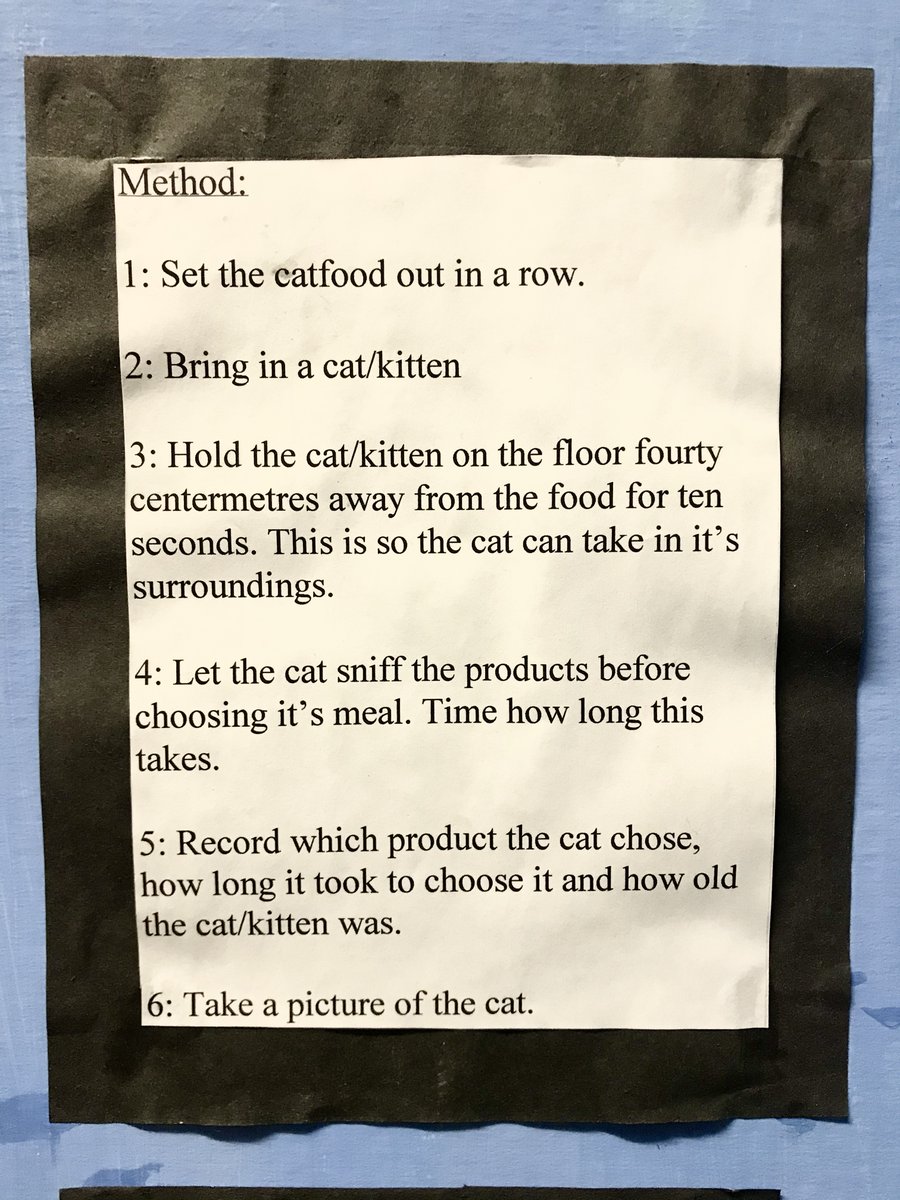 if you have ever wondered what brand of catfood cats prefer, wonder no longer. THE SCIENCE IS IN. i have the answers, right here. i found them at the back of my wardrobe, on a mysterious large folded-up thing of cardboard. circa 1998.