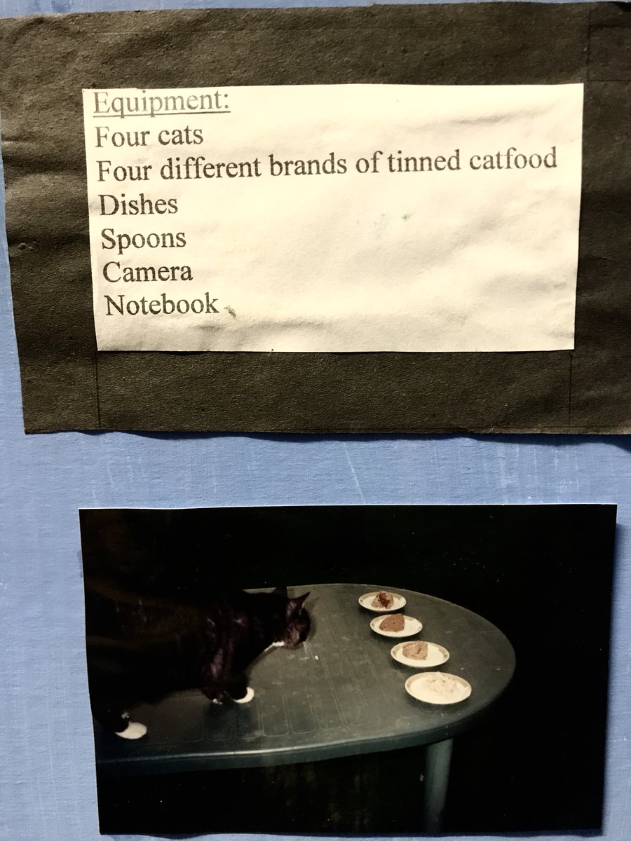 if you have ever wondered what brand of catfood cats prefer, wonder no longer. THE SCIENCE IS IN. i have the answers, right here. i found them at the back of my wardrobe, on a mysterious large folded-up thing of cardboard. circa 1998.