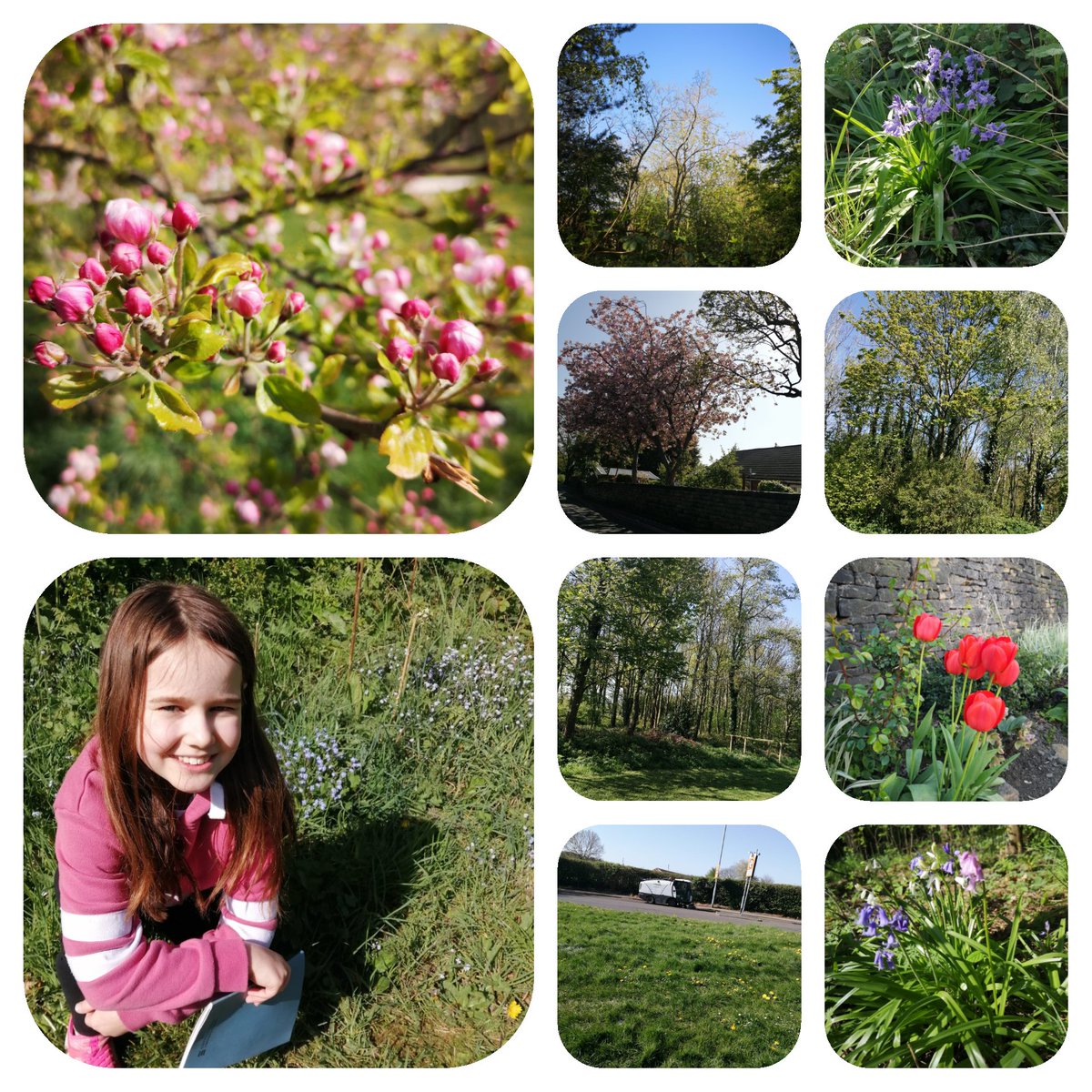 Em_Gaz26122006's tweet photo. Lola took us on an early morning sound walk for Yr4 Science #singing #barking #leavesrustling She took some photos too 💕 @MackieHill https://t.co/Cjm80SCdzf