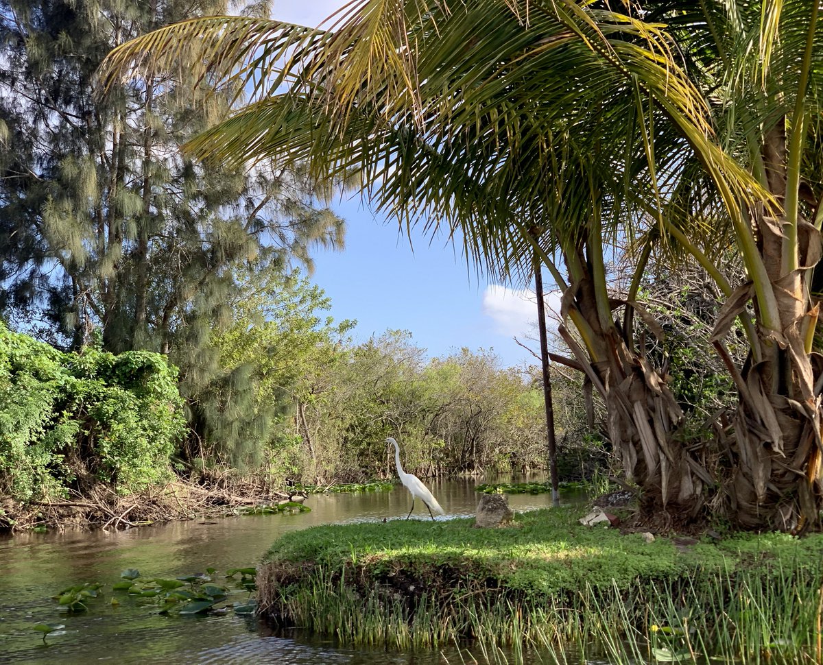 JackLHusted's tweet photo. Happy #EarthDay! #EarthDay2020 https://t.co/Hl4uWA1USB